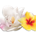 Air Wick Floral Fragrances